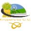 Knypersley CC U13 Kidsgrove League